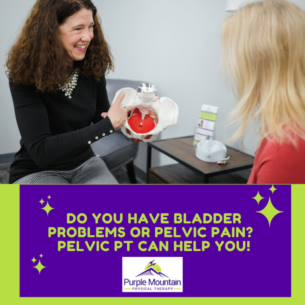 Female patient seated, talking to bladder physical therapist in Grand Rapids who is holding model of the pelvis showing the pelvic floor muscles and how bladder physical therapy can help retrain the bladder.