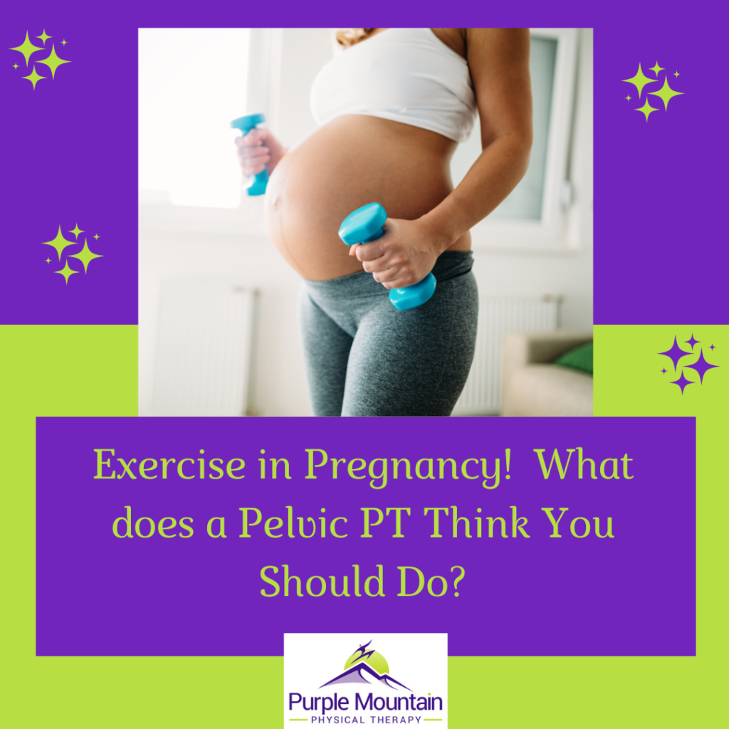 Exercise in Pregnancy: A Physical Therapists Perspective 