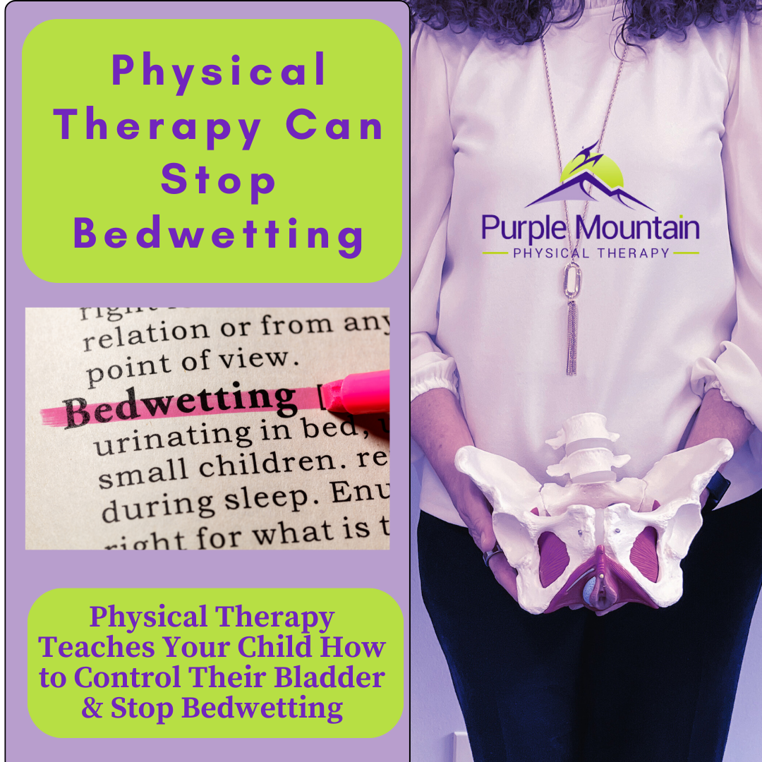Photo of woman holding a model of a pelvis with headline that reads Physical Therapy Can Stop Bedwetting, beneath that is a photo of a dictionary with the word "bedwetting" highlighted. Beneath that is a caption that says Physical Therapy Teaches Your Child How to Control Their Bladder & Stop Bedwetting.