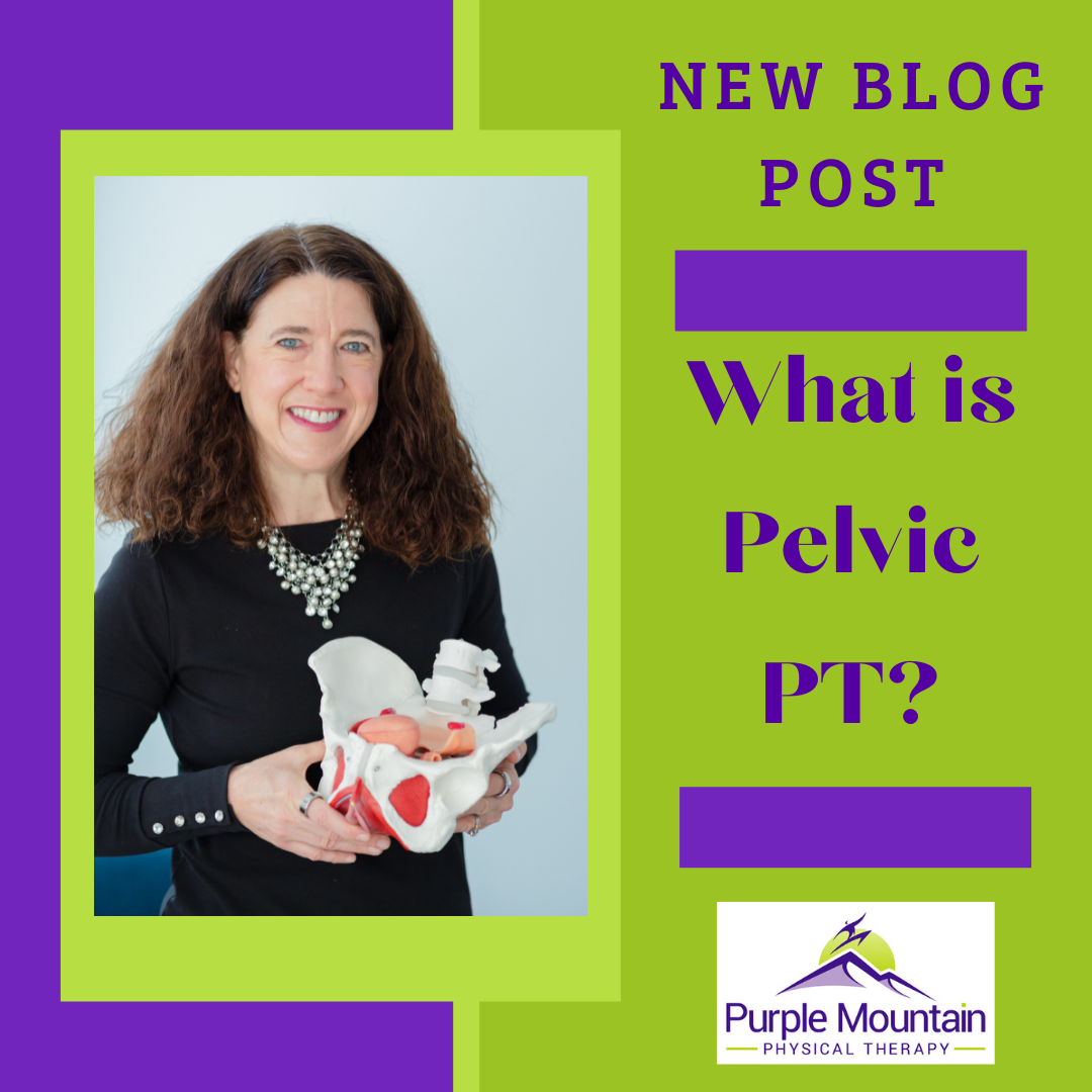 What is pelvic floor PT? Doctor of Physical Therapy holding model of pelvis