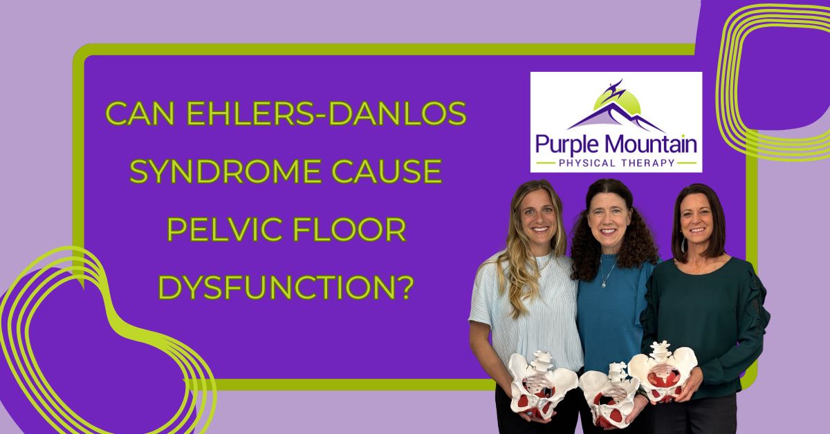 3 Pelivc Floor Physical Therapists are holding a model of the pelvis. Headline reads Can Ehlers-Danlos Syndrome cause pelvic floor dysfunction?